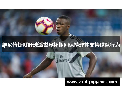 维尼修斯呼吁球迷世界杯期间保持理性支持球队行为