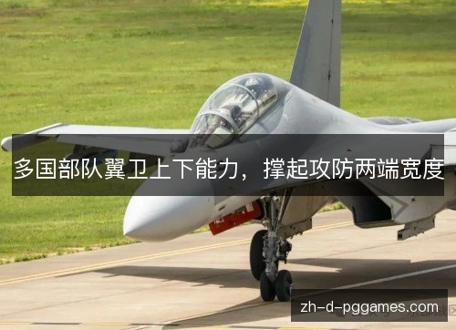 多国部队翼卫上下能力，撑起攻防两端宽度